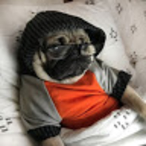 Meet your Posher, Taylor - Picture 1 of 1